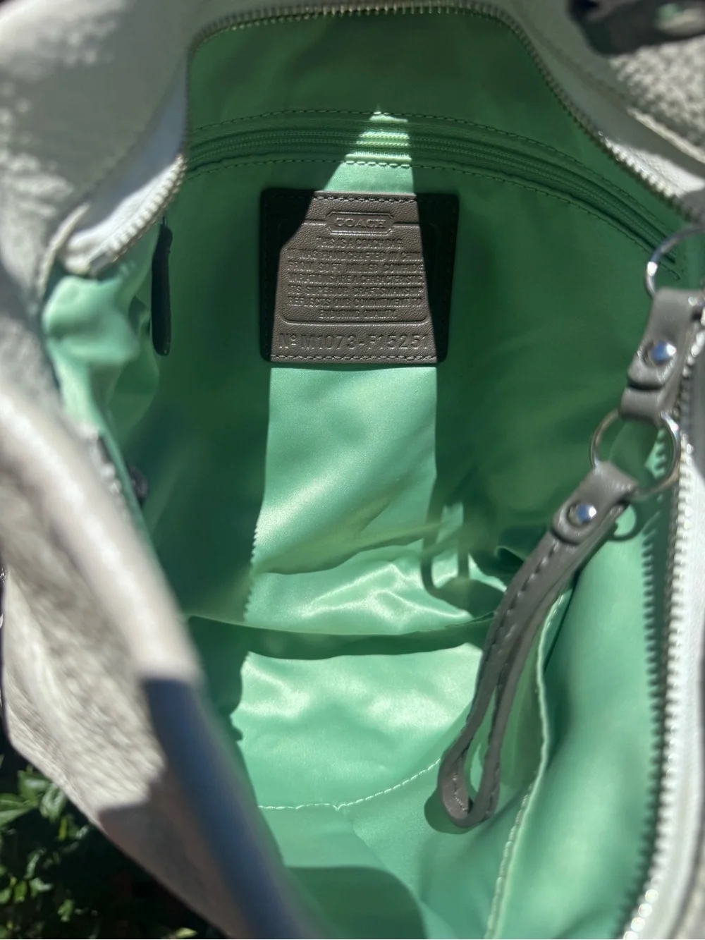 Coach Carly Hobo Shoulder Bag